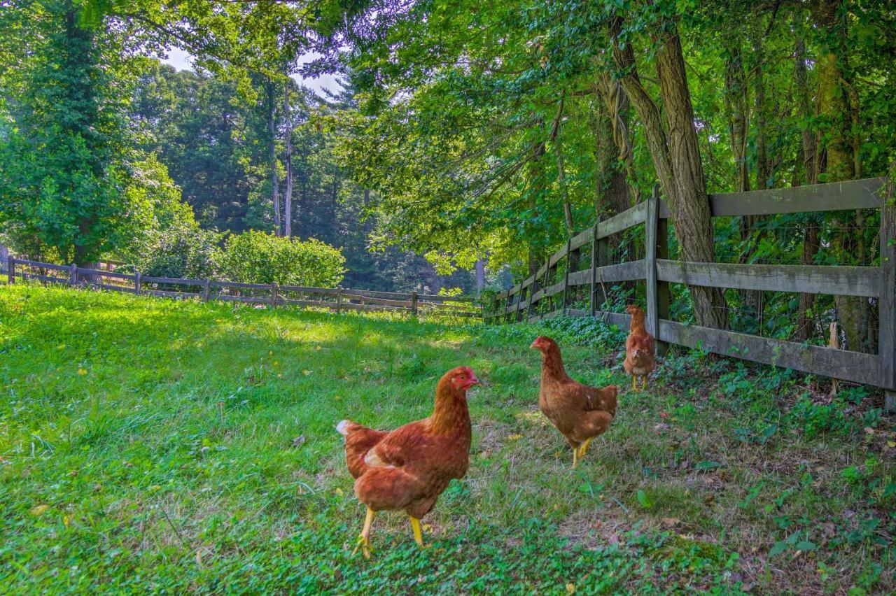 Rustic Hendersonville Farm Studio With Private Deck Exterior photo